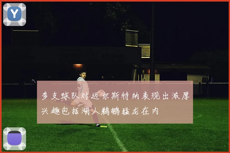 多支球队对迈尔斯特纳表现出浓厚兴趣包括湖人鹈鹕猛龙在内